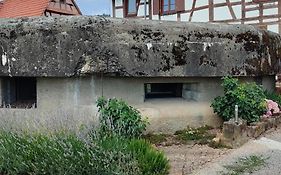 Au Bunker 67